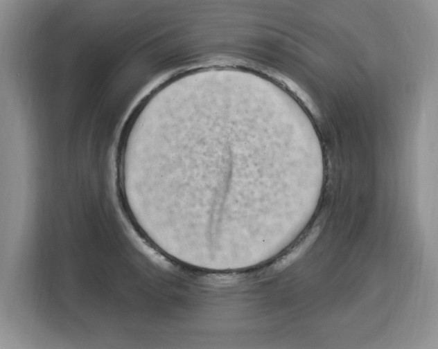 X0000113271134200910221054