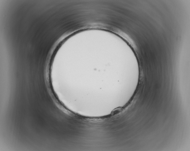 X0000113271136200910221054