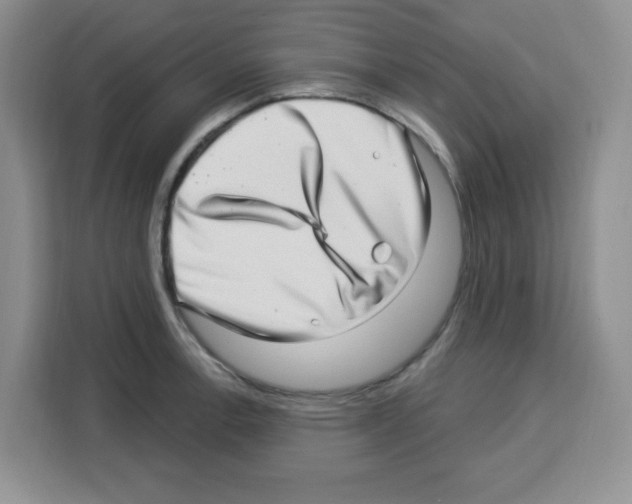 X0000113271138200910221054