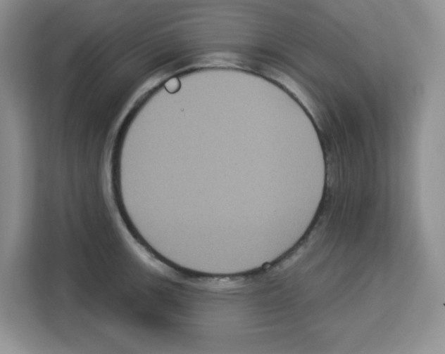 X0000113271139200910221054