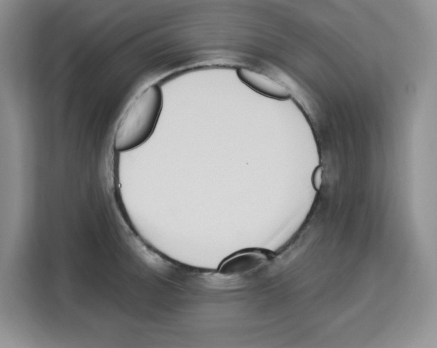 X0000113271140200910221054