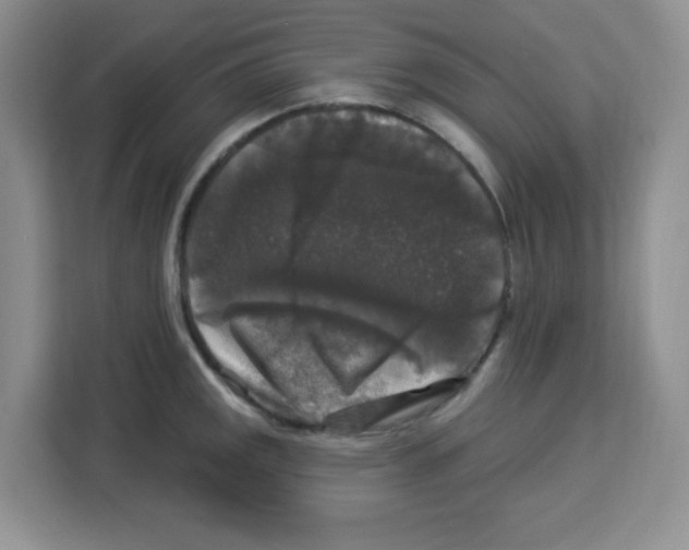 X0000113271141200910221054