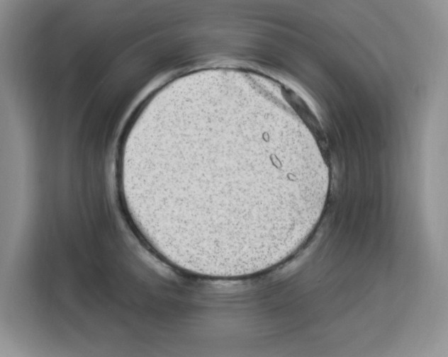 X0000113271142200910221054