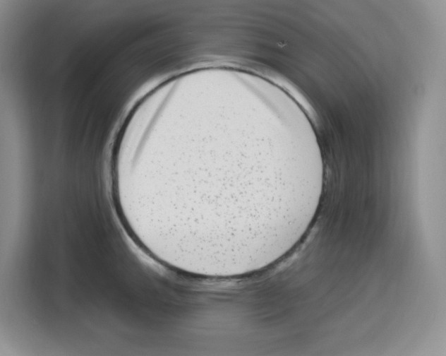 X0000113271143200910221054