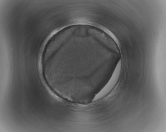 X0000113271144200910221054