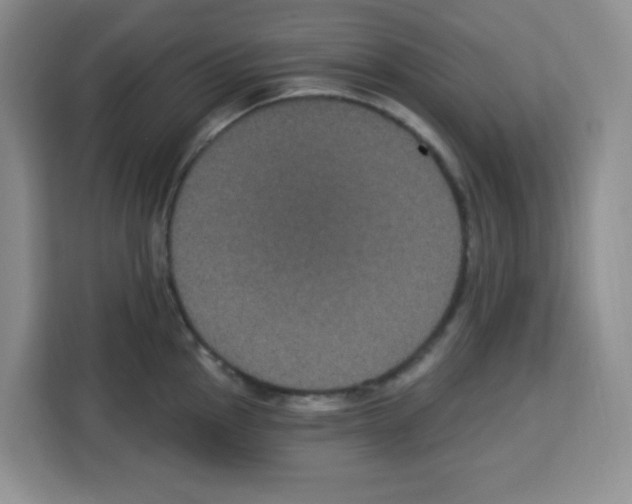 X0000113271145200910221054