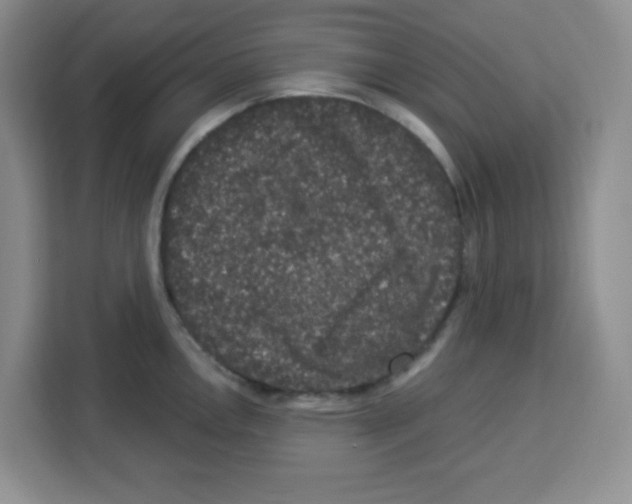 X0000113271146200910221054