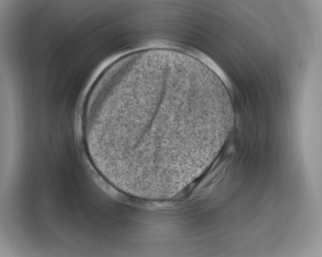 X0000113271148200910221054