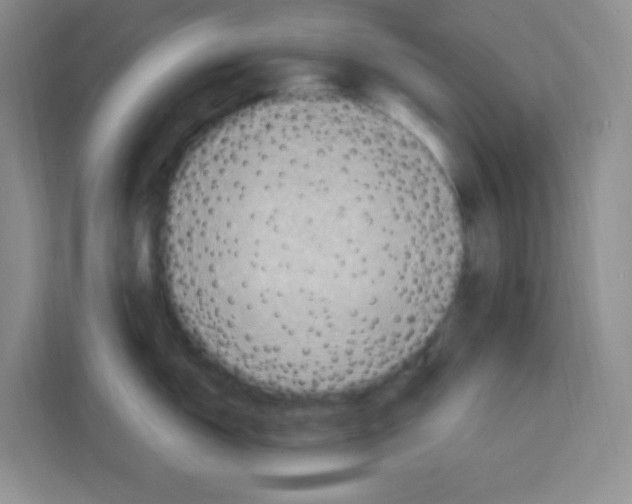 X0000113271150200910221054