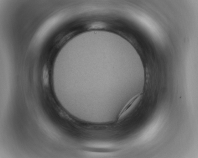 X0000113271151200910221054