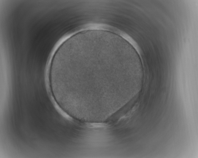 X0000113271152200910221054