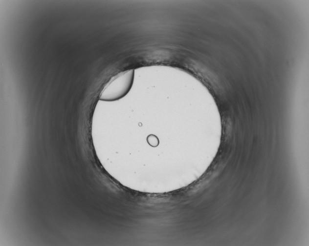 X0000113271153200910221053