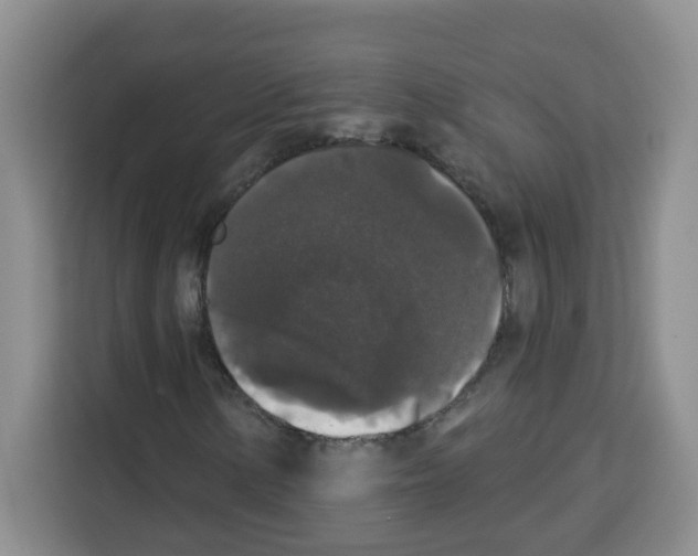 X0000113271154200910221053