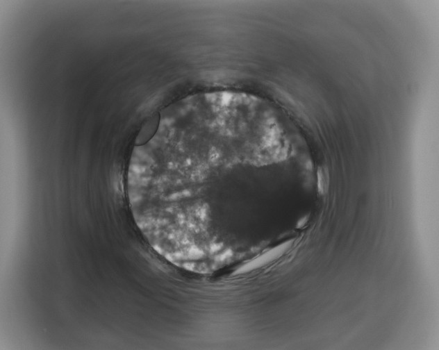 X0000113271155200910221053