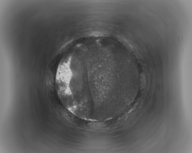 X0000113271158200910221053