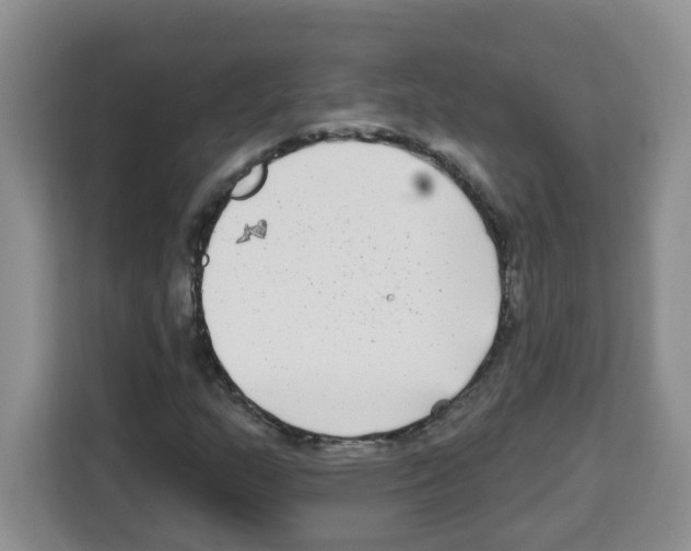 X0000113271159200910221053