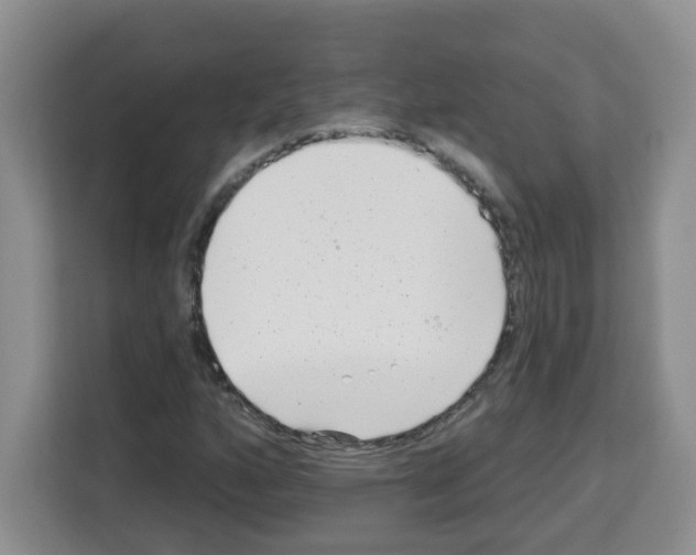 X0000113271160200910221053