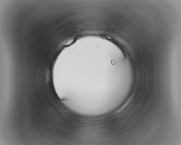 X0000113271161200910221053