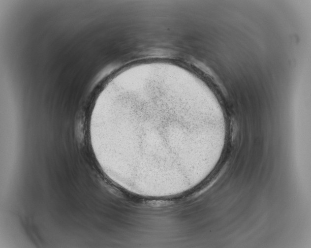 X0000113271163200910221053