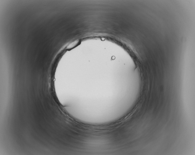 X0000113271165200910221053