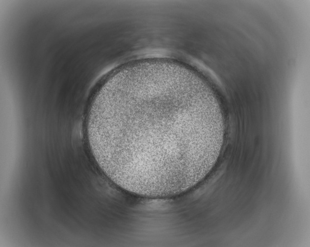 X0000113271166200910221053