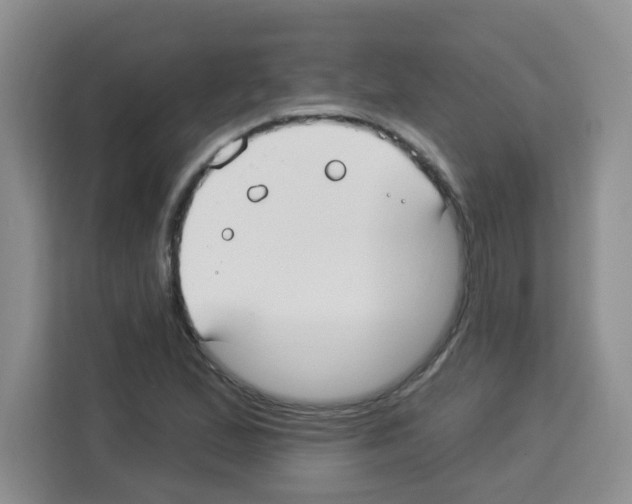 X0000113271167200910221053