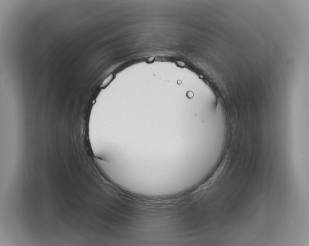 X0000113271169200910221053