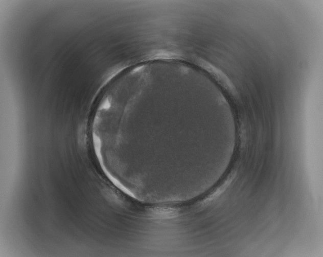 X0000113271170200910221053