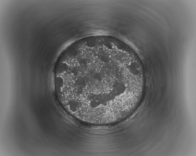 X0000113271171200910221053