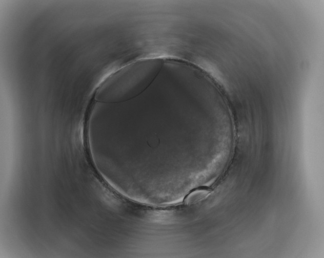 X0000113271173200910221053