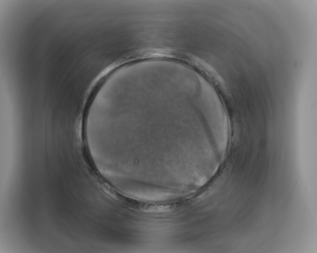 X0000113271174200910221053