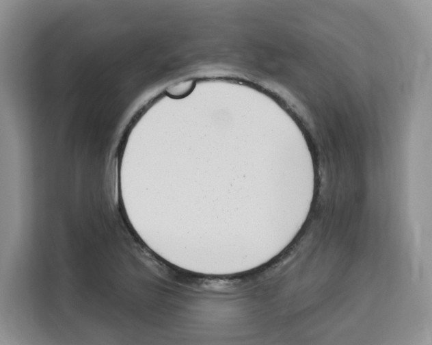 X0000113271175200910221053