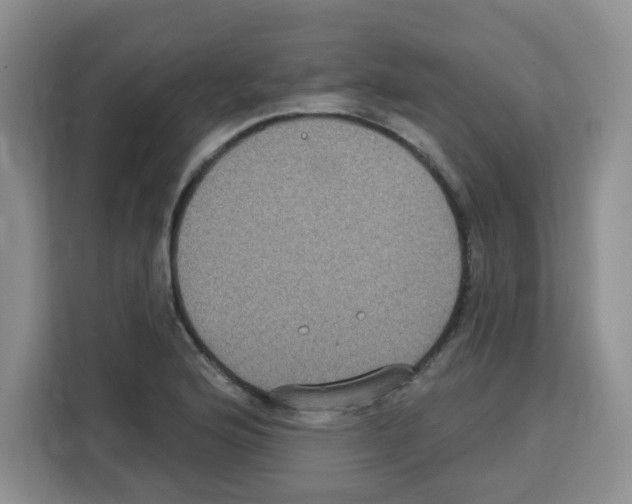 X0000113271176200910221053