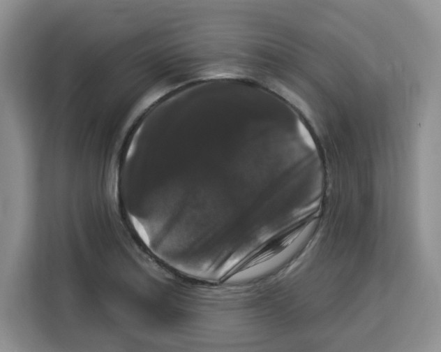 X0000113271179200910221053