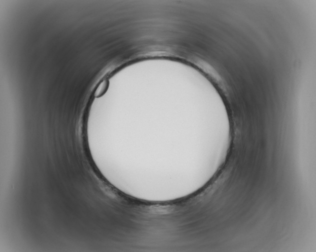 X0000113271181200910221053