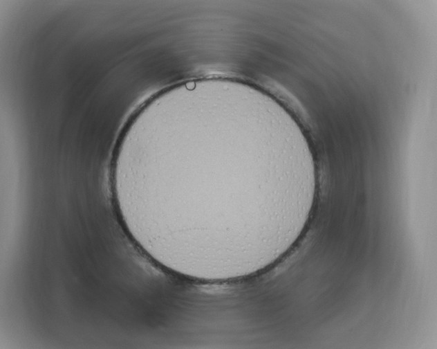 X0000113271182200910221053