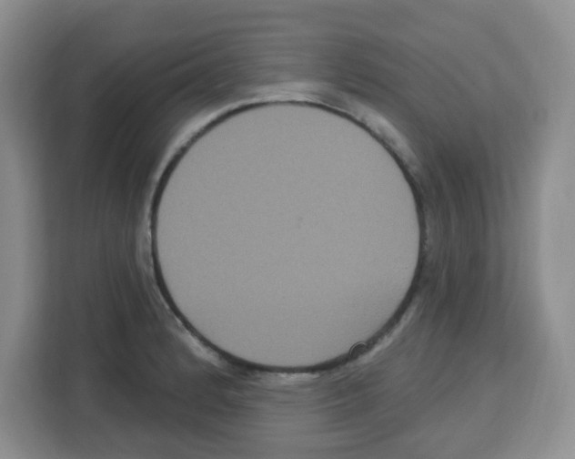 X0000113271184200910221053