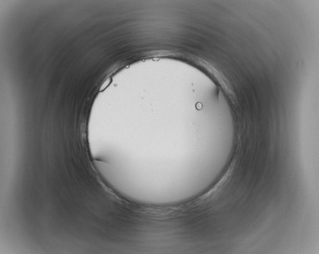 X0000113271185200910221053