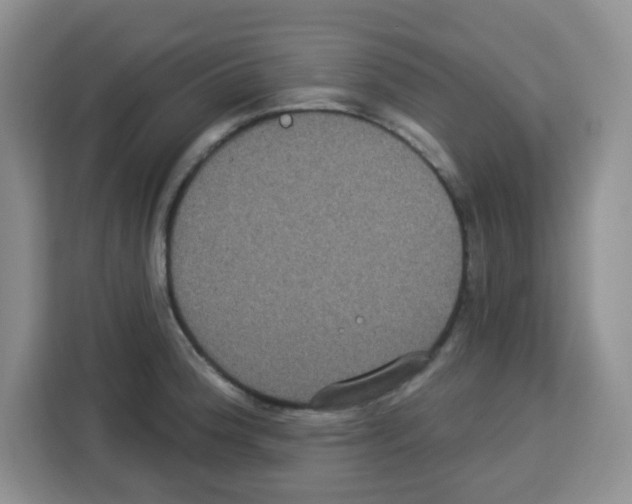 X0000113271188200910221053