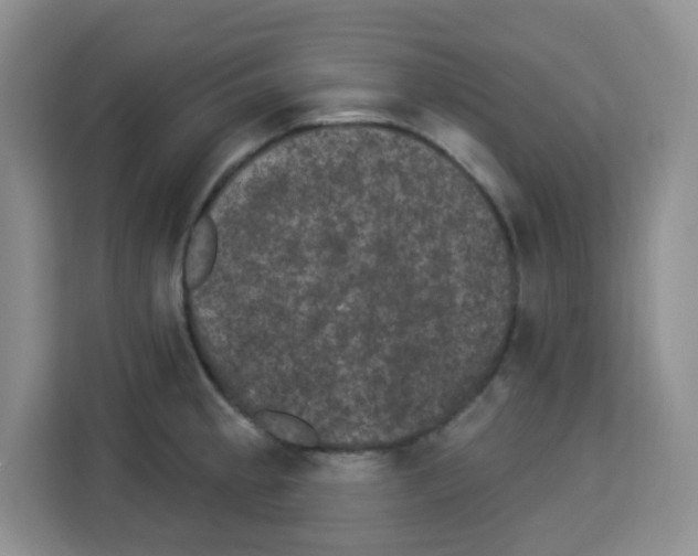 X0000113271189200910221053