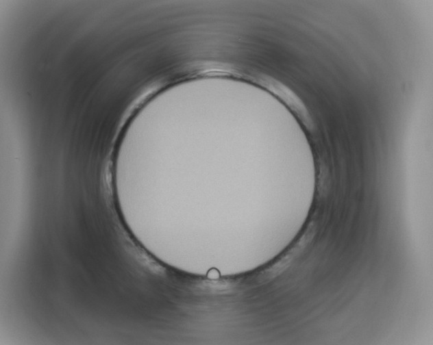 X0000113271190200910221053