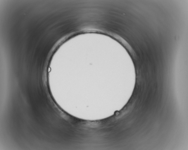 X0000113271191200910221053