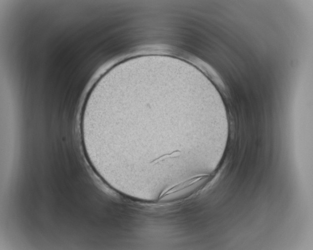 X0000113271192200910221053