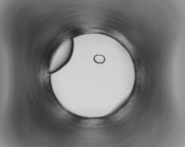 X0000113271193200910221053