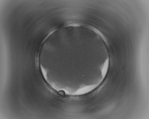 X0000113271194200910221053