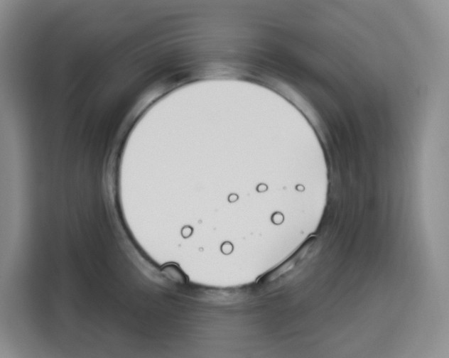 X0000113271195200910221053