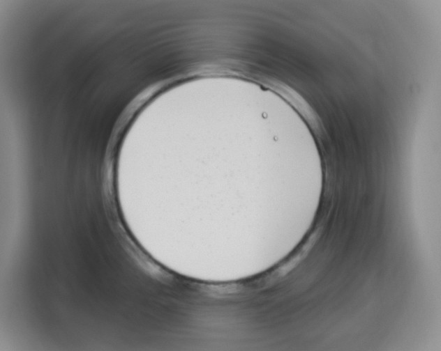 X0000113271196200910221053