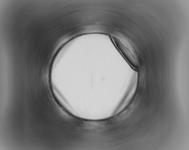 X0000113271197200910221053