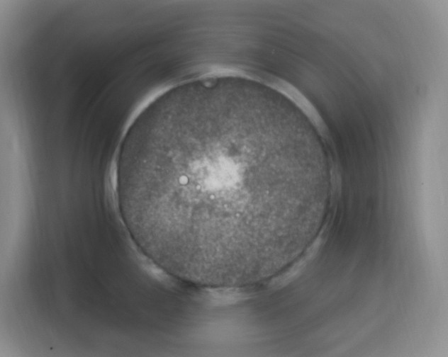 X0000113271198200910221053