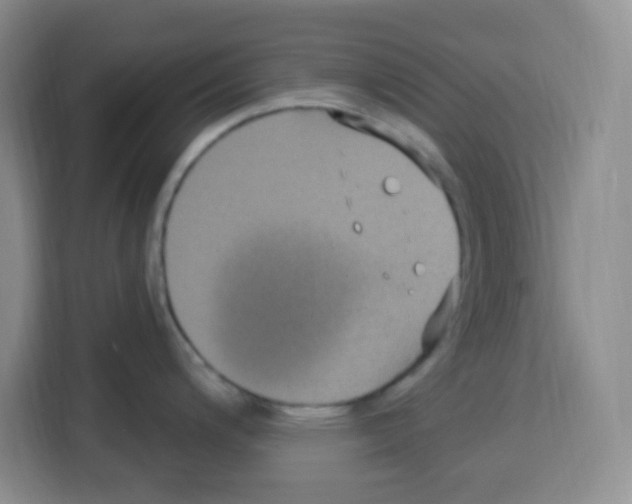 X0000113271200200910221053